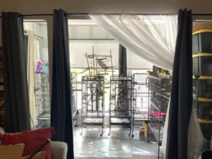 soundproof-blackout-curtains-to-the-windows
